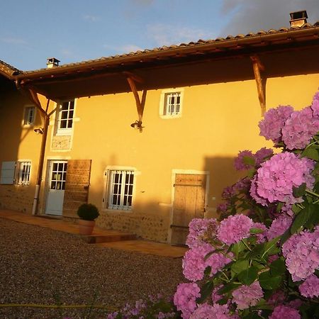 Hotel Bed & Breakfast - Maison De Marie Messimy-sur-Saone Esterno foto