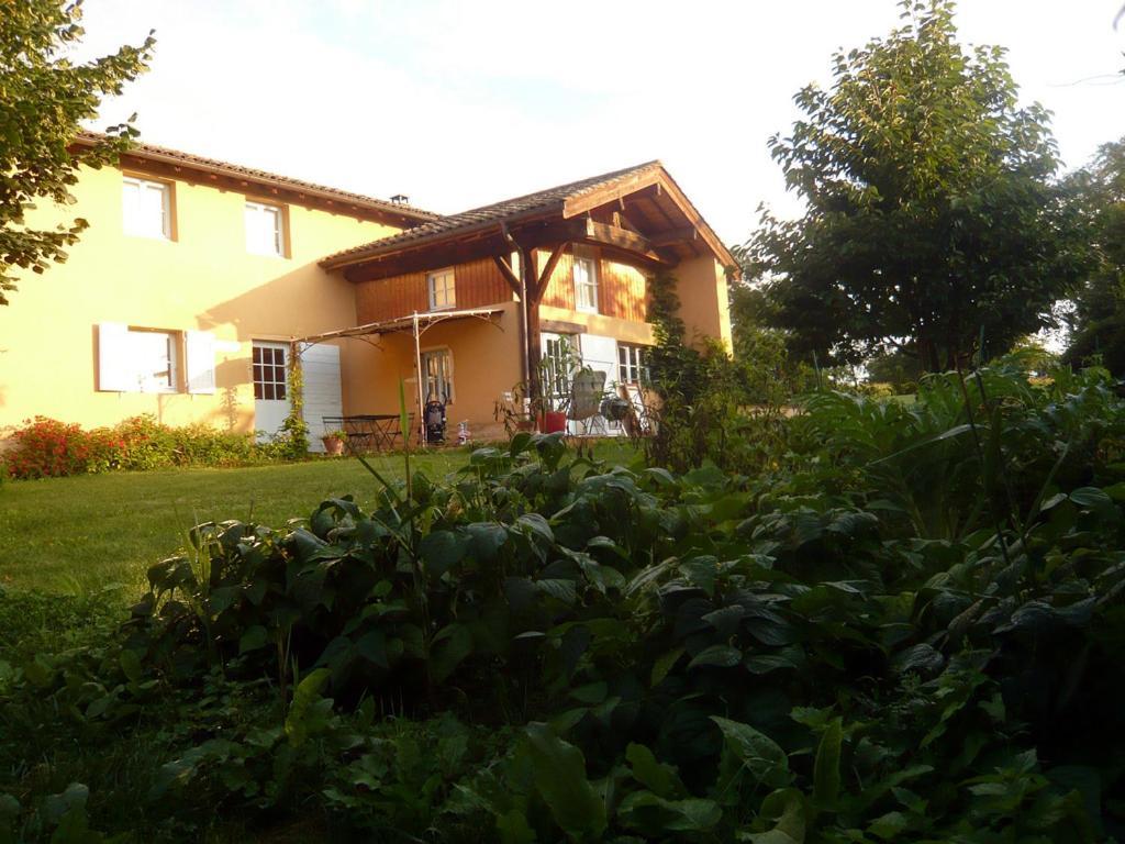 Hotel Bed & Breakfast - Maison De Marie Messimy-sur-Saone Esterno foto